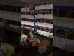 تشجيانغ ، الصين الصحافة المناسب